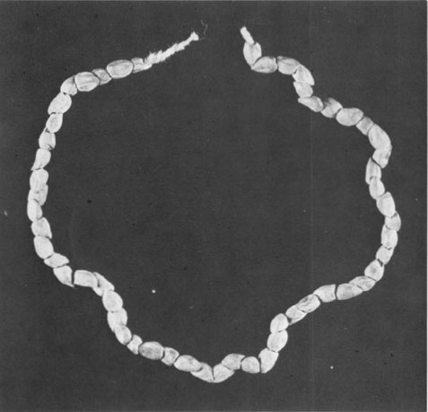 Bead Tip, 3.5mm - aprx 25 Bead Tip, 3.5mm - aprx 25