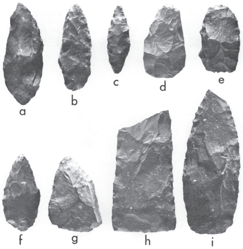 Fig . Sonari: stone artefacts. ) anvil stone/hammerstone on