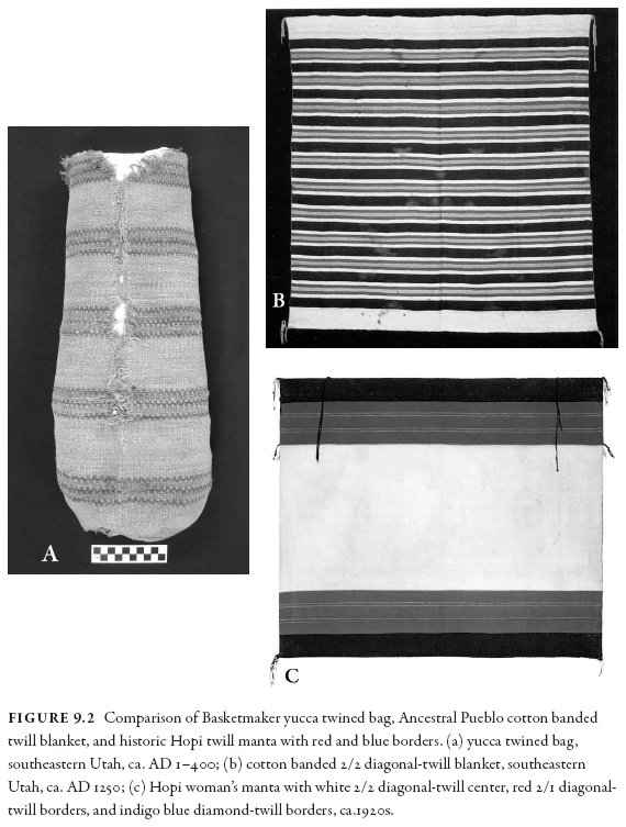 9. Pathways to Hopi: Cultural Affiliation and the